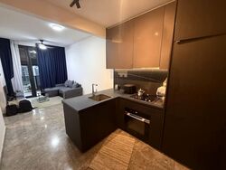 Hyll On Holland (D10), Condominium #534461811